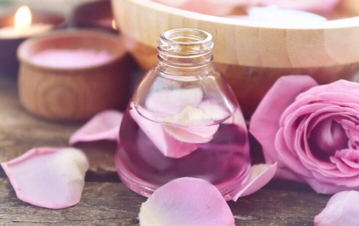 Rose de la loción lática